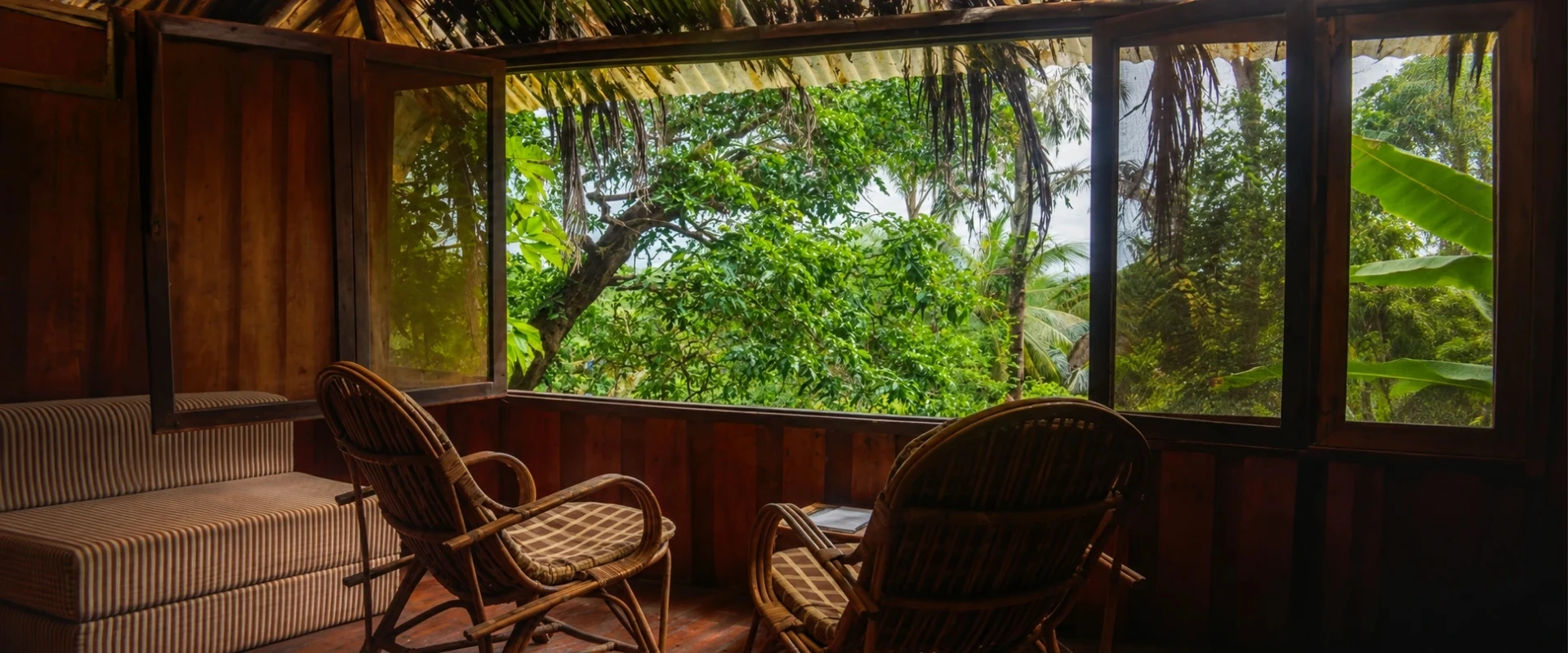 The backwaters of Goa